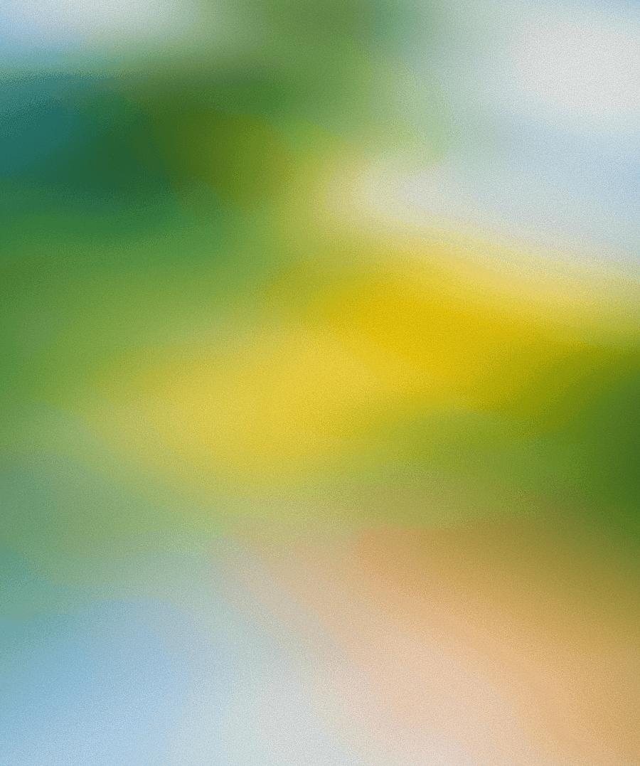 A featured image for this section