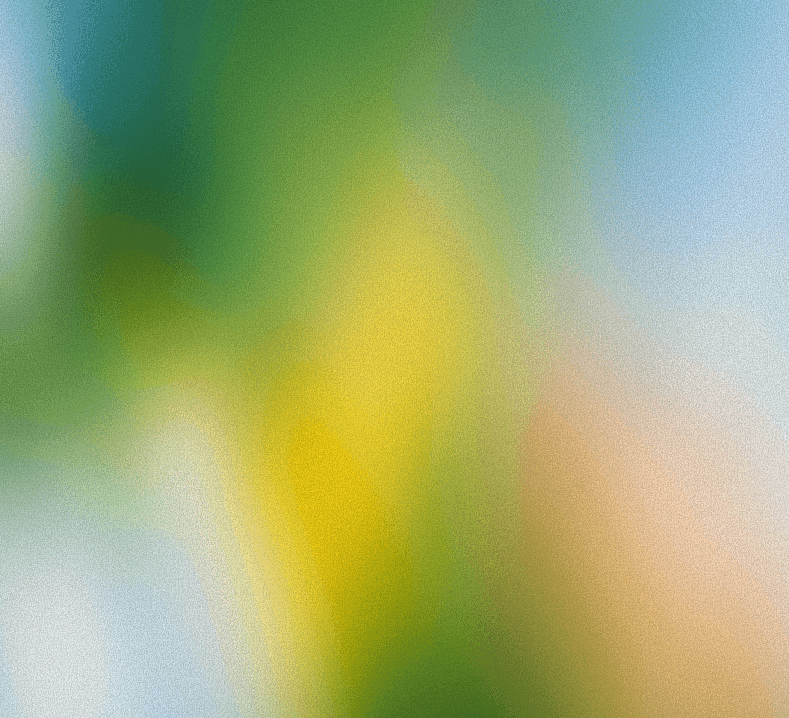 A featured image for this section