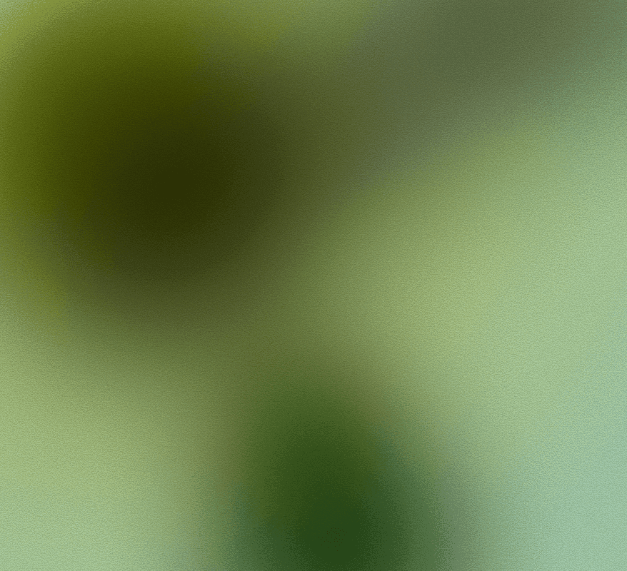 A featured image for this section